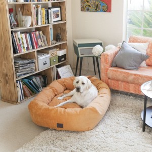 Venta al por mayor Custom Vintage Villa Collection Micro Velvet Bagel Dog Bed