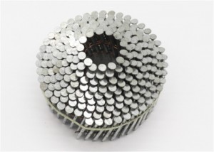 Factory wholesale Rotary Type Fasteners - Coil nails – Tuoou
