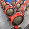 DN450 Ductile Iron Wafer Butterfly Valve na may CF8M Disc EPDM Seat Worm Gear Operation