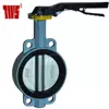 Cast Iron Manual Wafer Butterfly Valve para sa Russia Market Steelworks