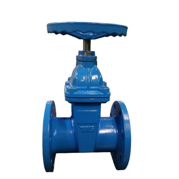 Hot Selling NRS Valve PN16 BS5163 Ductile Iron Double Flanged Resilient Seat Gate Valve
