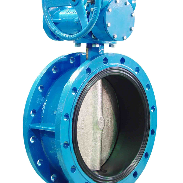 Malaking Diameter Double Flanged Concentric Disc Butterfly Valve na May Worm Gear GGG50/40 EPDM NBR Material
