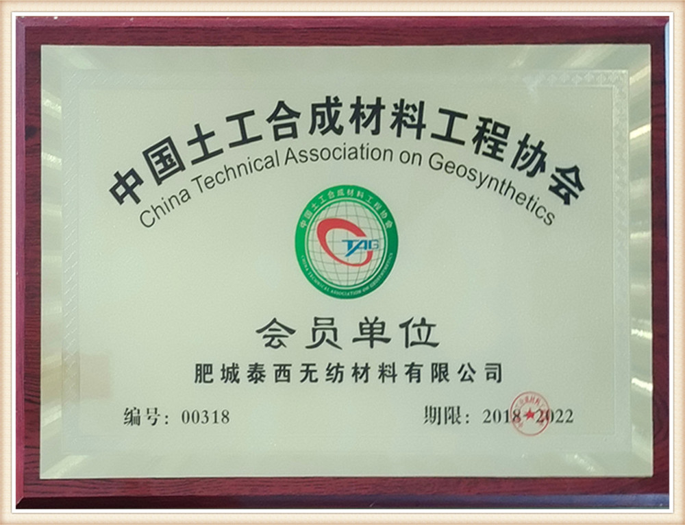 중국 토목 합성 공학 협회 회원