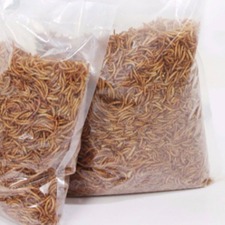 Garing Konéng Mealworms Pet Food Manuk Feed Pakan Hamster Snacks Hamster Breadworm Feature Gambar