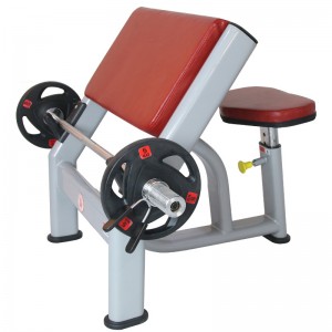 commercial gym strength training chair dumbbell bench