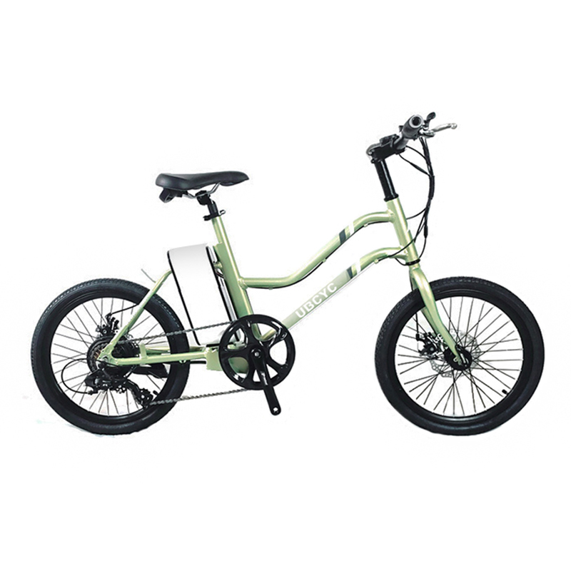 Elektrinis dviratis 10ah 36V Gamintojo pritaikytas 250W Shimano 7 greičių miesto elektrinis motociklas