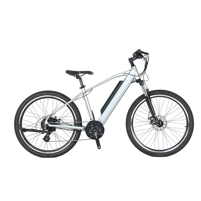 Tork akıllı eğlence aracı ile e-bisiklet elektrikli bisiklet dağ bisikleti