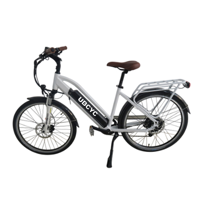 Profesjonalny elektryczny rower miejski China China 26 ″ 750 W z akumulatorem litowym Fat Tire