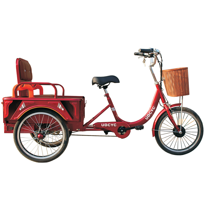 Bihayê erzankirî ya Chinaînê Sêçerxek Elektrîkî ya Sê Wheel bi Kulîlka Dumpê / Hilbera Hidraulîk Kargo Tricycle