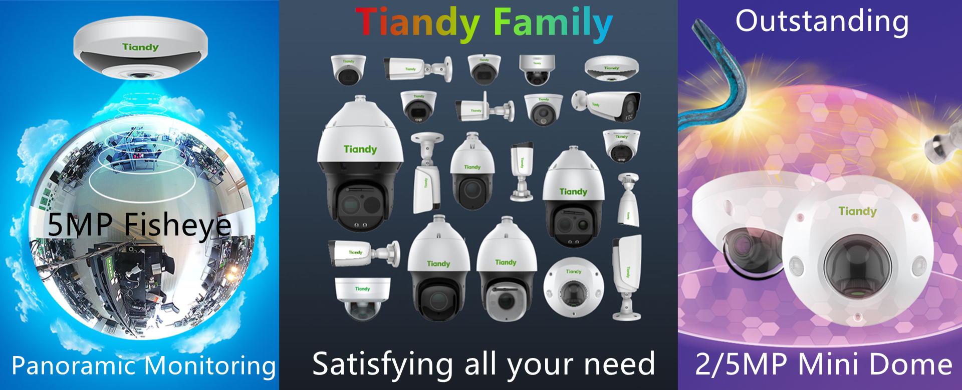 Tiandy Family