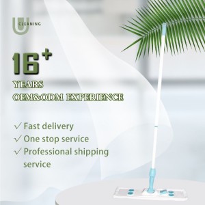Grutte koarting Hot-Selling Factory Supplier Flat Squeeze House Cleaning Long Handle Mop