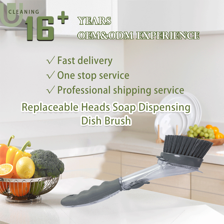 Hot Sale Hook Design Soap Dispensing Dish Brush China Featured ຮູບພາບ