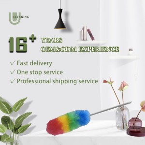 China wirtschaftlech Héich Qualitéit Rainbow Faarf Plastik Feather Extendable Duster