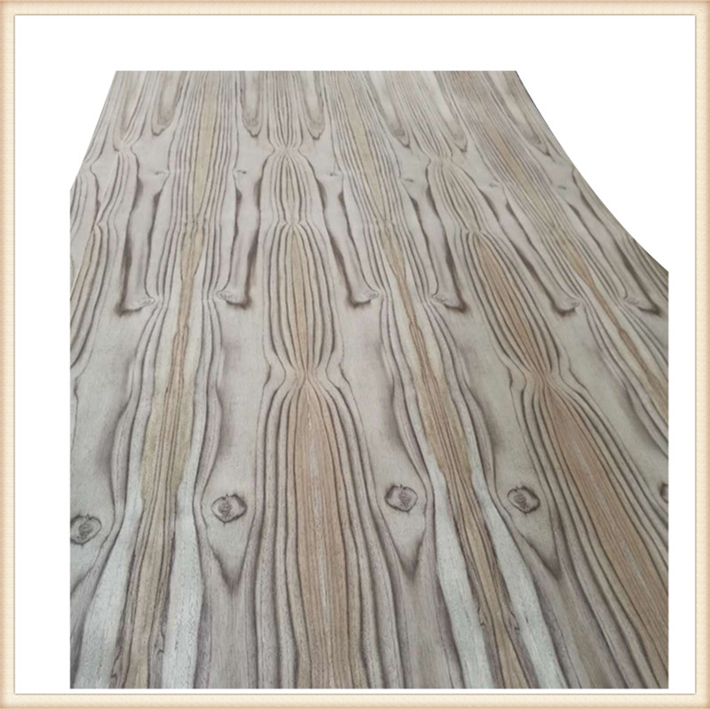 White Hybrid Poplar Wood – Forestry.com