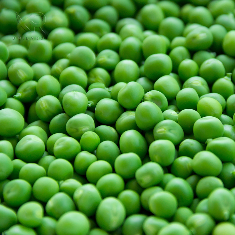 IQF green peas Featured Image