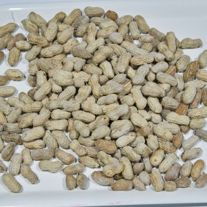 IQF salted peanuts