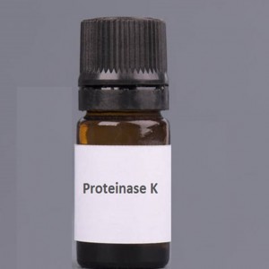 Proteinase K հետ cas 39450-01-6
