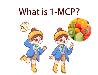 Kas ir 1-MCP