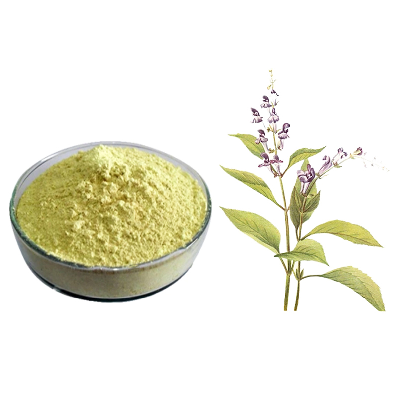 Factory wholesale China High Quality Scutellaria Baicalensis Root Extract 90% Baicalin