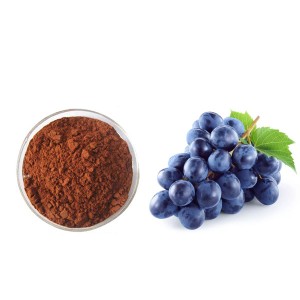 Hot Sale for Morinda Tinctoria - Grape Seed Extract  – Uniwell