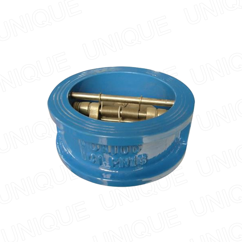 PN16 DN100 Cast Iron Wafer Check Valve Featured Image