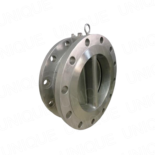 Through Bolting Lug type Dual Plate Check Valve Featured Image