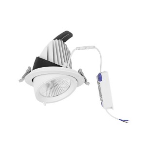 Diputar Komersial Dali Dimmable LED COB 10/20/30/40/50W Adjustable LED Spotlight Lampu Sorot Langit-langit