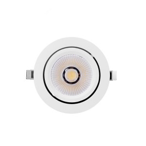 Rotatable Commercial Dali Dimmable LED COB 10/20/30/40/50W LED Spotlight Ceiling Spotlights na-agbanwe agbanwe