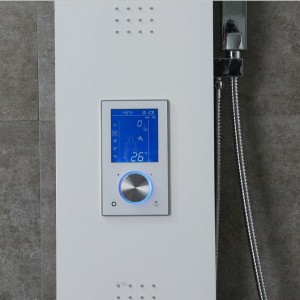 Fornitore di pannelli doccia in alluminio di nuovo stile di vendita caldo