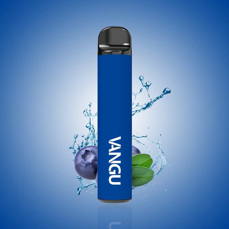 Συσκευή λοβού μιας χρήσης Blueberry-VANGU P20 1000 Puffs