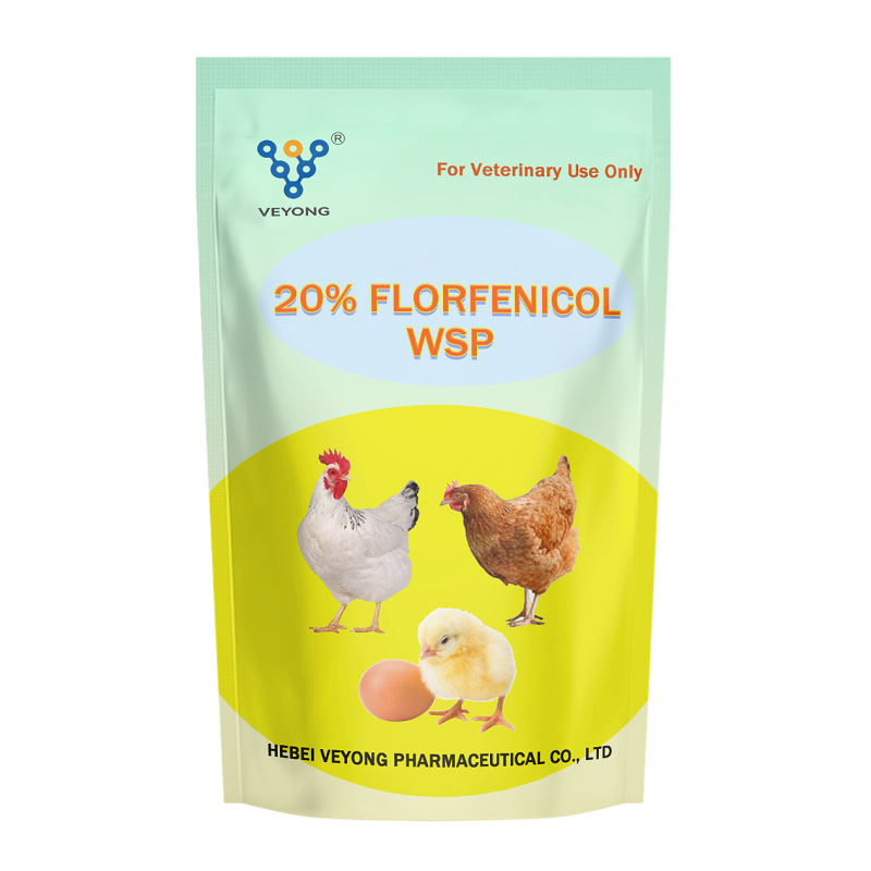 20% Florfenicol WSP