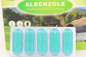2500 mg albendazol bolus