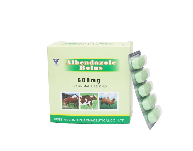 Albendazole bolus 600mg for Cattle Featured Image