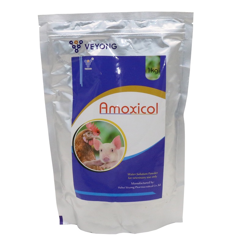 I-Amoxicillin ne-Colistin Sulfate Powder encibilikayo