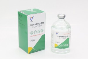 Hot Sale for Kina Buparvaquone Injection 5% til veterinærmedicin