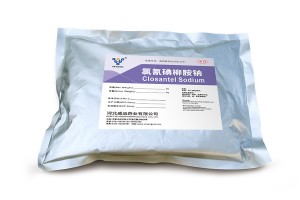 Sản phẩm mới nổi bật Sản phẩm chống ký sinh trùng Trung Quốc Thuốc tiêm natri closantel 5% 10% 100ml