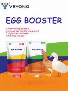 Scientific Chicken Farming, Promoting Egg Production