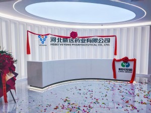 Veyong established a new office