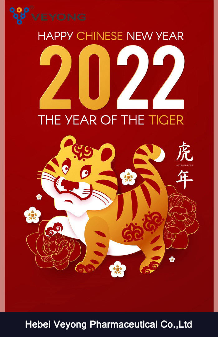Happy Chinese New Year-Spring Festival !!!