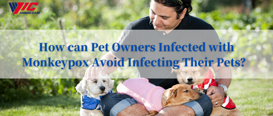 ¿Cómo pueden los dueños de mascotas infectadas con viruela simica evitar infectar a sus mascotas?