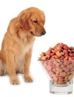 Skaden ved delvis mad til hund