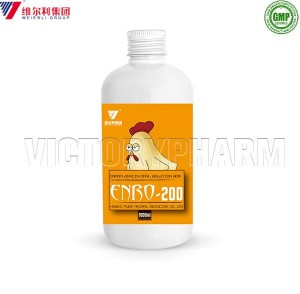 Enrofloxacin Oral Solution 20% Veterinary Medicine Drug for Cattle Sheep Goats Horse Poultry استعمال