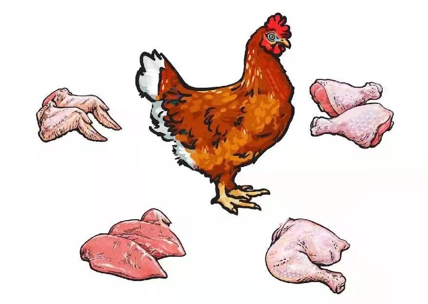 Soyez prudent avec les problèmes de foie de poulet et réparez immédiatement
