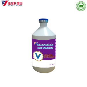 Farmaco veterinario di fabbrica GMP Qingwen jiedu Soluzione orale Formula a base di erbe per antivirale di pollo