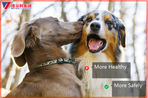 2019 New Style China GMP Tablets Drugs Veterinary Agent Fendazole Ivermection Tablets Vet Drugs for Swine, Sheep Cattle Dewormer