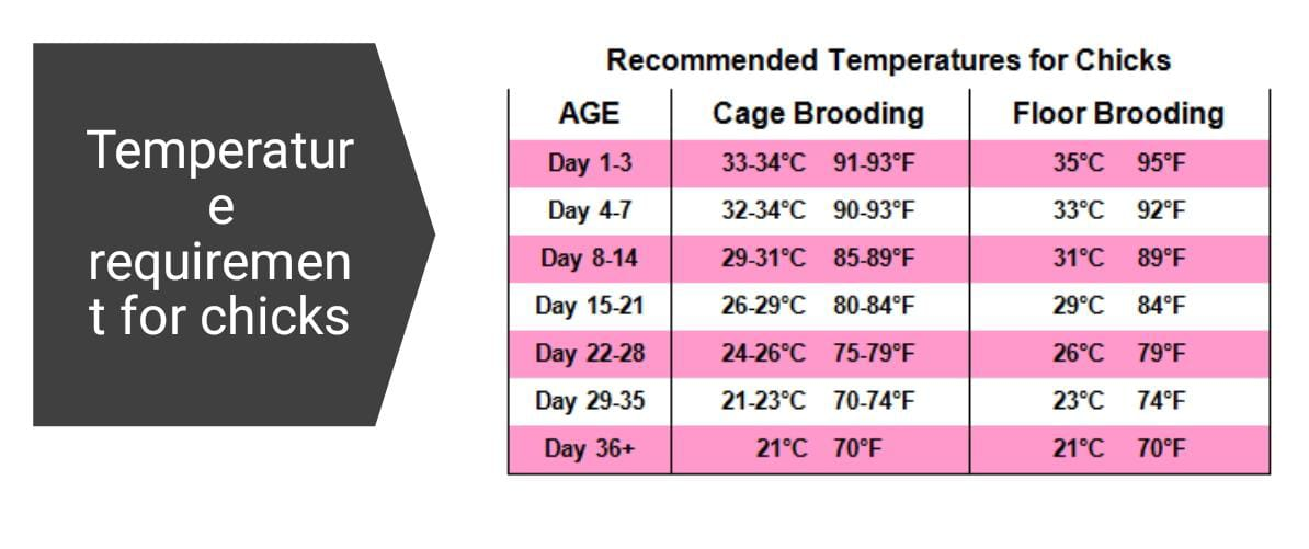 Pogodna temperatura za cijeli životni ciklus peradi