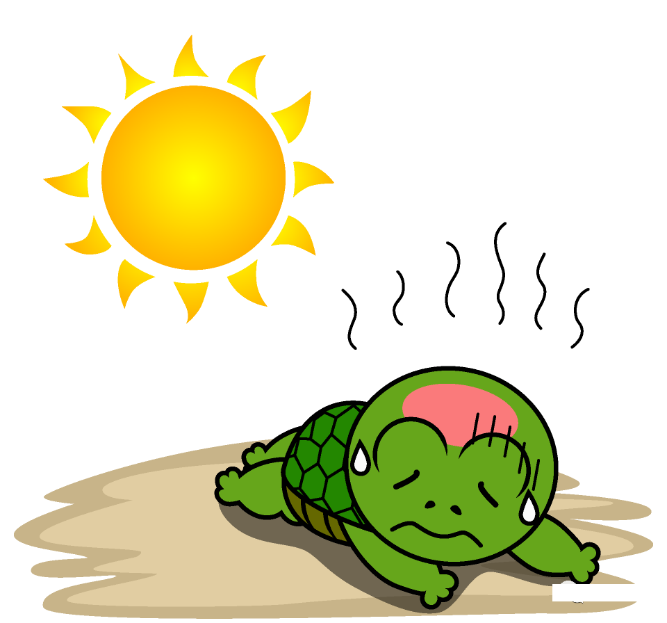 كم درجة يتعرض الحيوان الأليف لضربة الشمس في الصيف؟