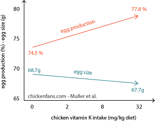 ویتامین K برای مرغ های تخمگذار