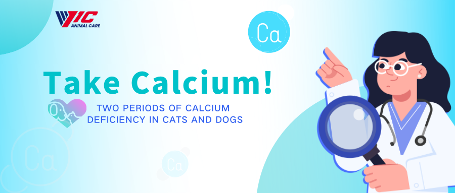 Ambil Kalsium！Dua Tempoh Kekurangan Kalsium dalam Kucing dan Anjing