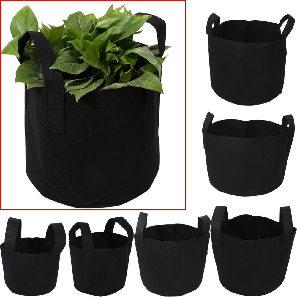 식물 가방/성장 가방